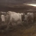 Cazul Vâlcov. Intervenția statului pe piața de artă. Specialist: De ce nu este rău ca unele opere să ajungă în colecții private