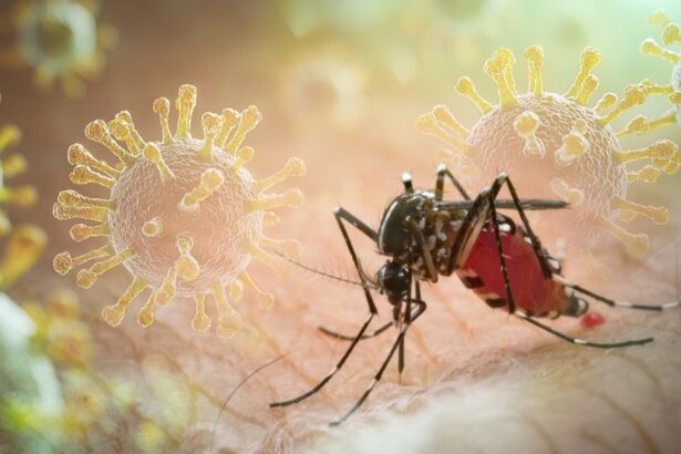 Un virus extrem de periculos a ajuns în România. Chikungunya este transmis de țânțari. Care sunt simptomele