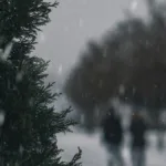 Alertă meteo de Cod Galben de ger. Harta ANM cu zonele vizate. Vremea în București