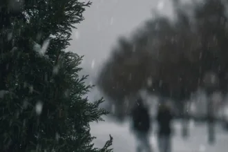 Alertă meteo de Cod Galben de ger. Harta ANM cu zonele vizate. Vremea în București