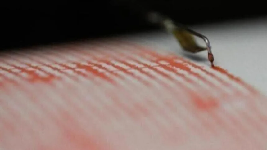 Cutremur în România, duminică după-amiaza. Ce magnitudine a avut