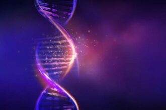 Cum a transformat ADN-ul considerat gunoi evoluția umană?