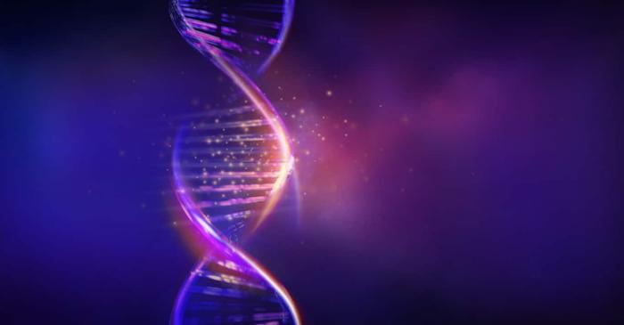 Cum a transformat ADN-ul considerat gunoi evoluția umană?