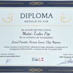 Elevul clujean Matei Pop, medalie de aur la Olimpiada de Inteligență Artificială ROAI și calificare în lotul național